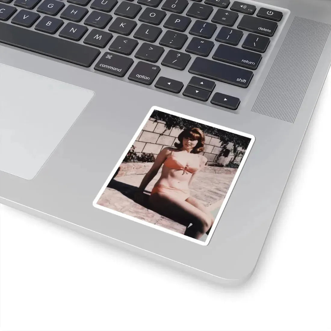 Tina Louise #18 (Vintage Female Icon) STICKER Vinyl Kiss-Cut Decal - The Sticker Space