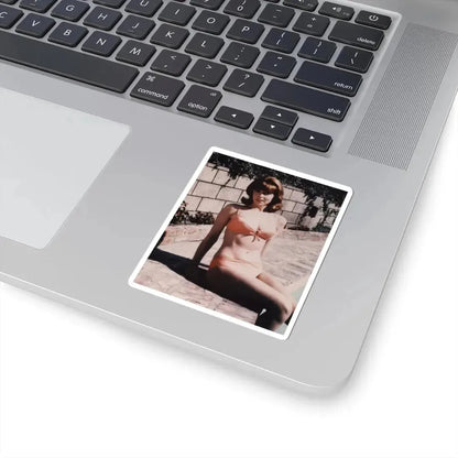 Tina Louise #18 (Vintage Female Icon) STICKER Vinyl Kiss-Cut Decal - The Sticker Space