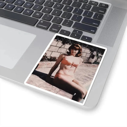 Tina Louise #18 (Vintage Female Icon) STICKER Vinyl Kiss-Cut Decal - The Sticker Space