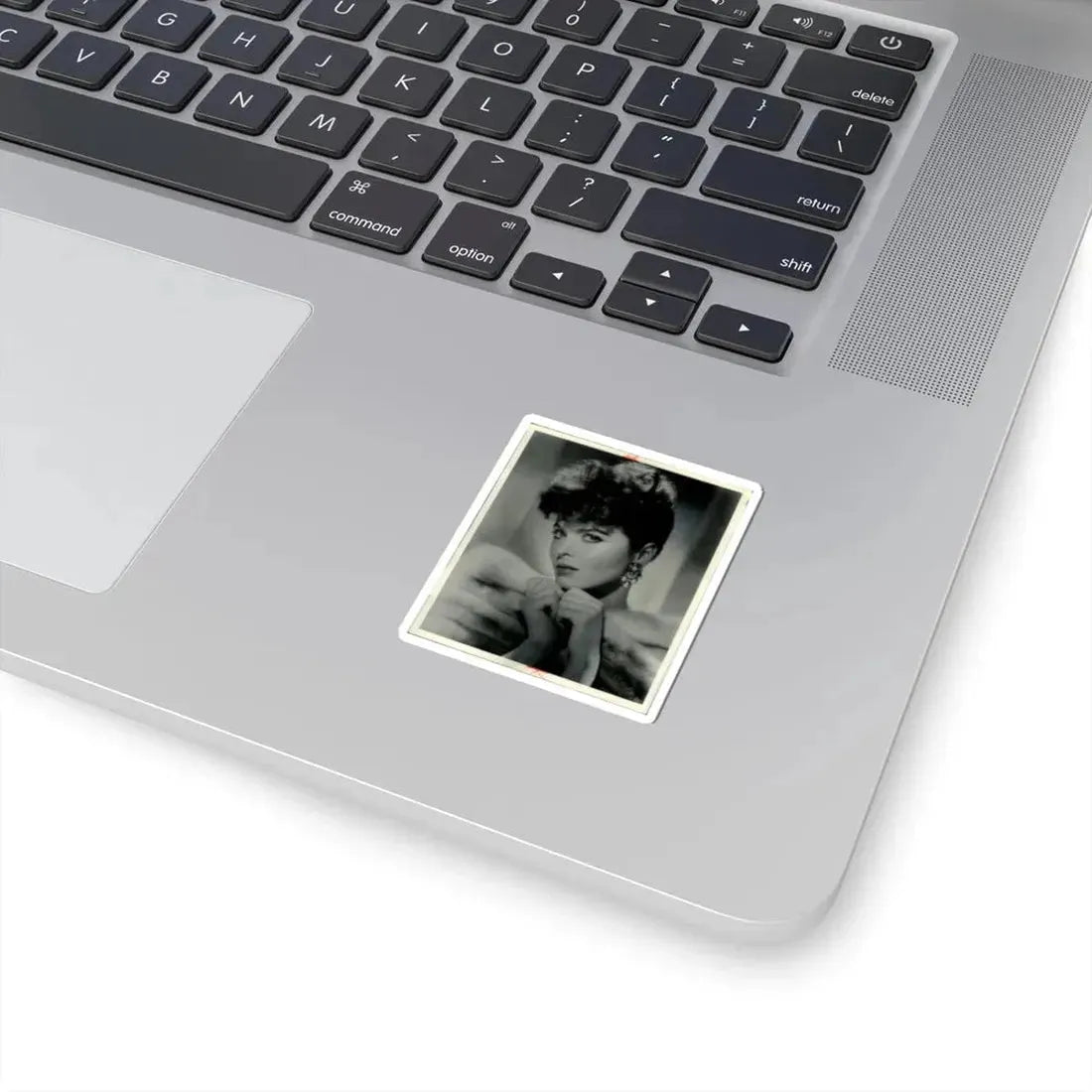 Tina Louise #32 (Vintage Female Icon) STICKER Vinyl Kiss-Cut Decal - The Sticker Space