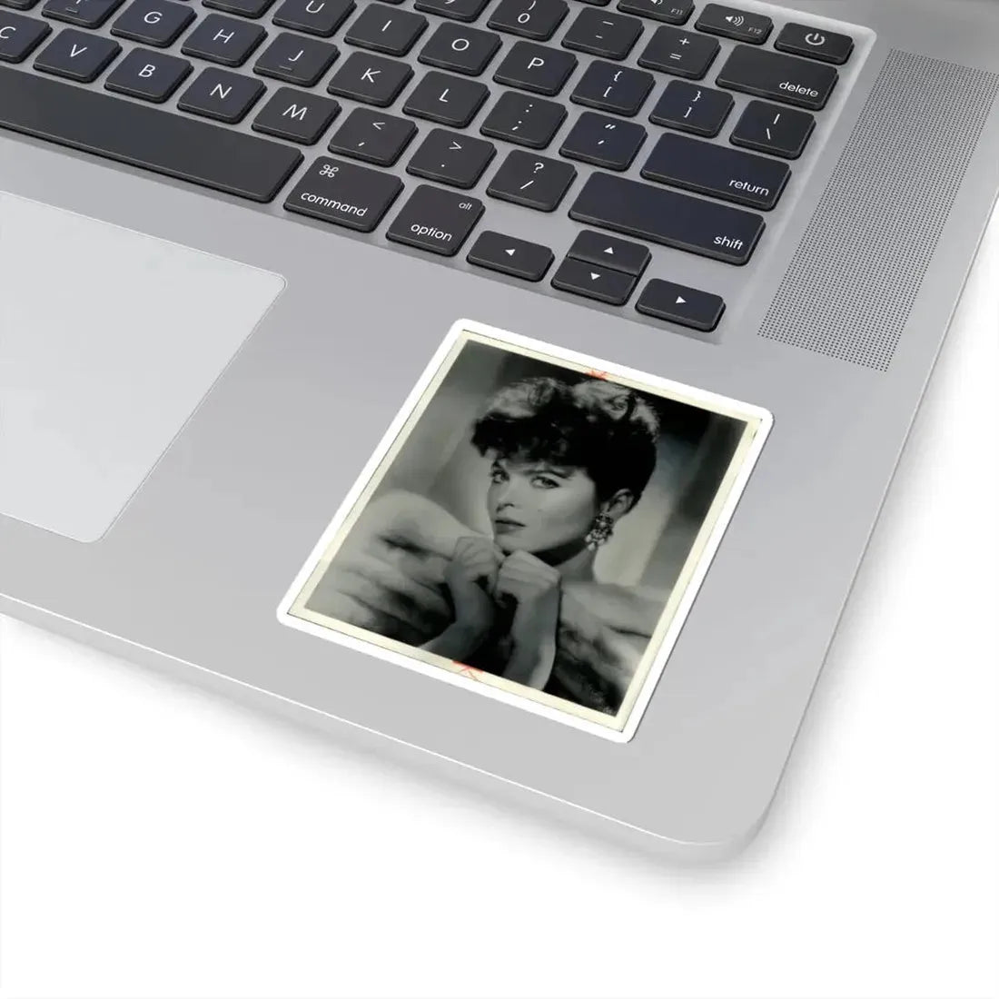 Tina Louise #32 (Vintage Female Icon) STICKER Vinyl Kiss-Cut Decal - The Sticker Space