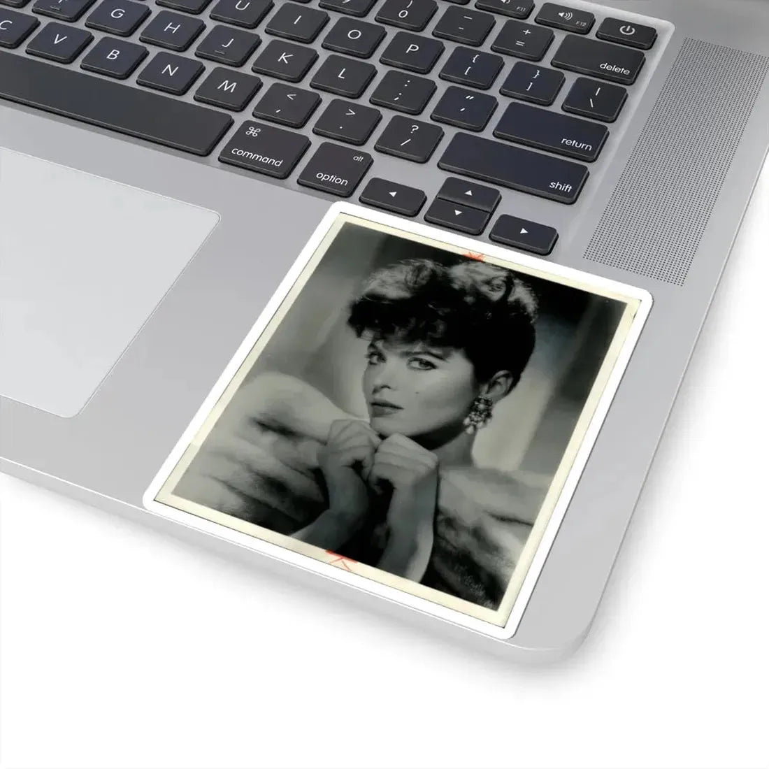 Tina Louise #32 (Vintage Female Icon) STICKER Vinyl Kiss-Cut Decal - The Sticker Space