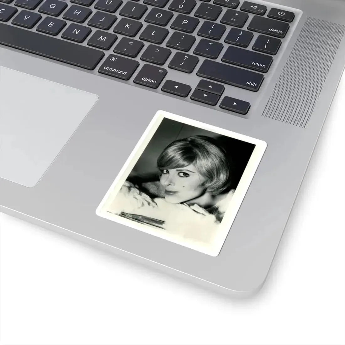 Tina Louise #33 (Vintage Female Icon) STICKER Vinyl Kiss-Cut Decal - The Sticker Space