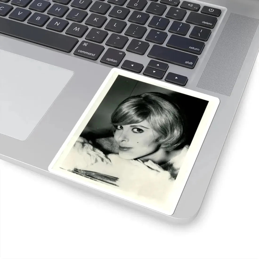 Tina Louise #33 (Vintage Female Icon) STICKER Vinyl Kiss-Cut Decal - The Sticker Space