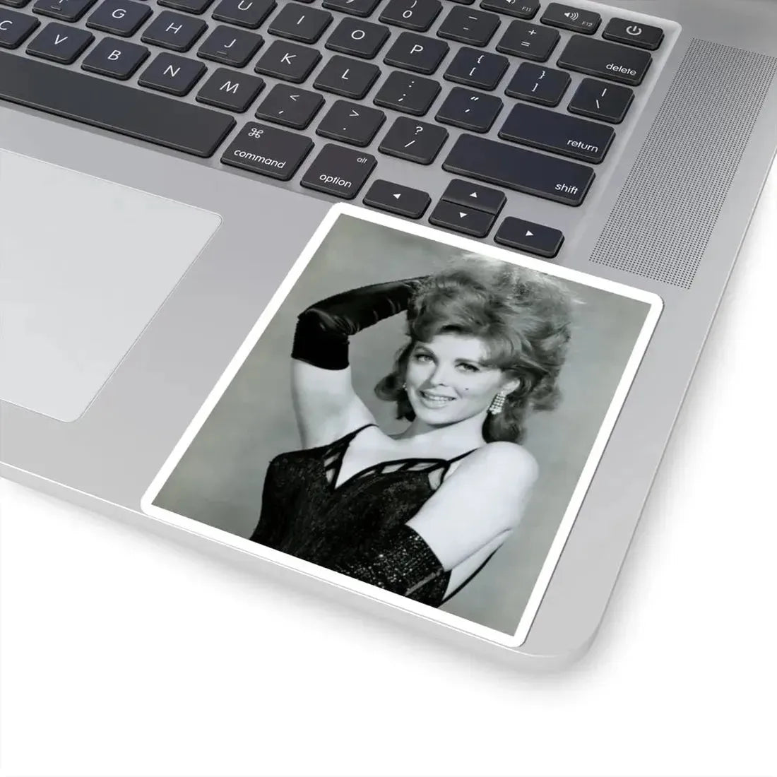 Tina Louise #63 (Vintage Female Icon) STICKER Vinyl Kiss-Cut Decal - The Sticker Space