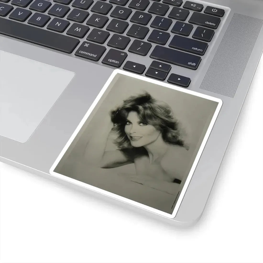 Tina Louise #75 (Vintage Female Icon) STICKER Vinyl Kiss-Cut Decal - The Sticker Space