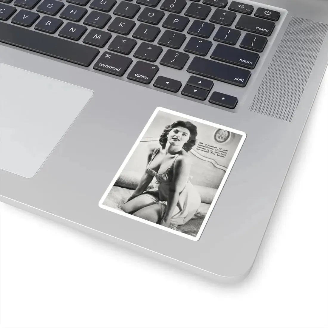 Tina Louise #92 (Vintage Female Icon) STICKER Vinyl Kiss-Cut Decal - The Sticker Space
