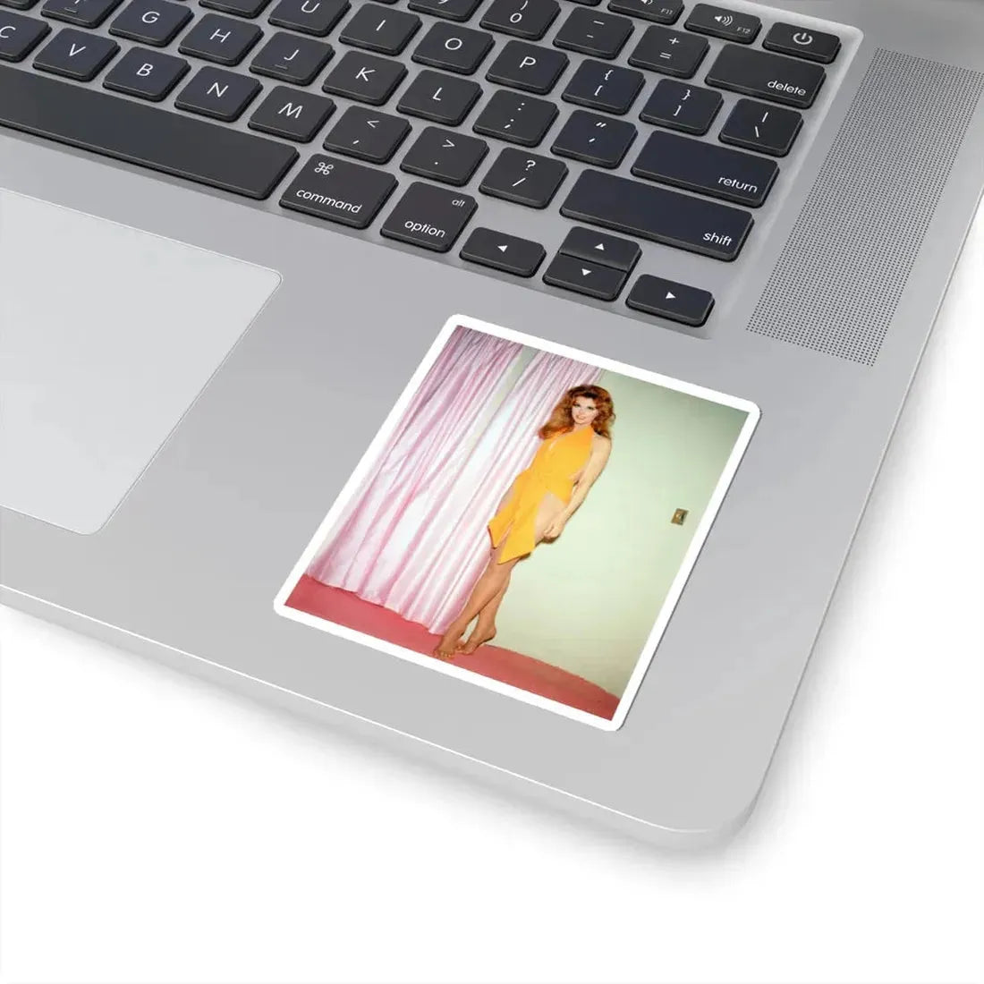 Tina Louise #97 (Vintage Female Icon) STICKER Vinyl Kiss-Cut Decal - The Sticker Space