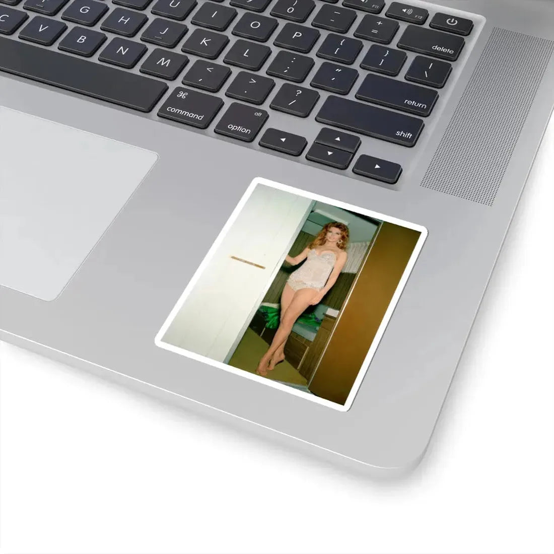 Tina Louise #98 (Vintage Female Icon) STICKER Vinyl Kiss-Cut Decal - The Sticker Space