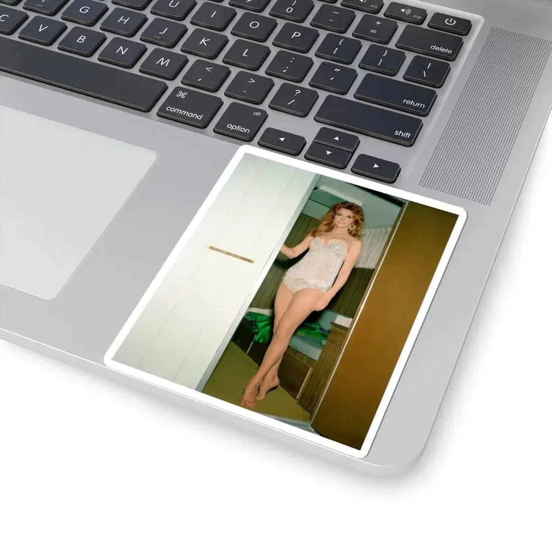 Tina Louise #98 (Vintage Female Icon) STICKER Vinyl Kiss-Cut Decal - The Sticker Space