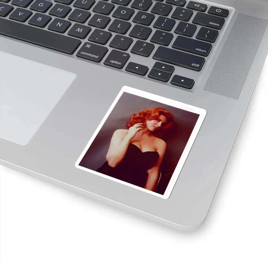 Tina Louise #99 (Vintage Female Icon) STICKER Vinyl Kiss-Cut Decal - The Sticker Space