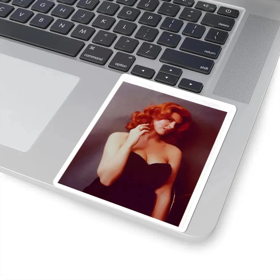 Tina Louise #99 (Vintage Female Icon) STICKER Vinyl Kiss-Cut Decal - The Sticker Space