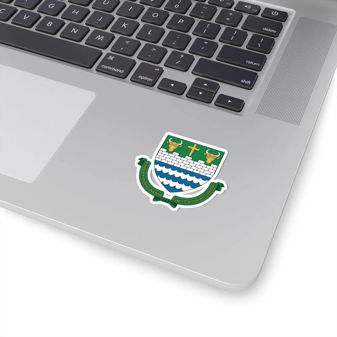 Tipp Town COA (Ireland) (Coat of Arms) STICKER Vinyl Kiss-Cut Decal - The Sticker Space