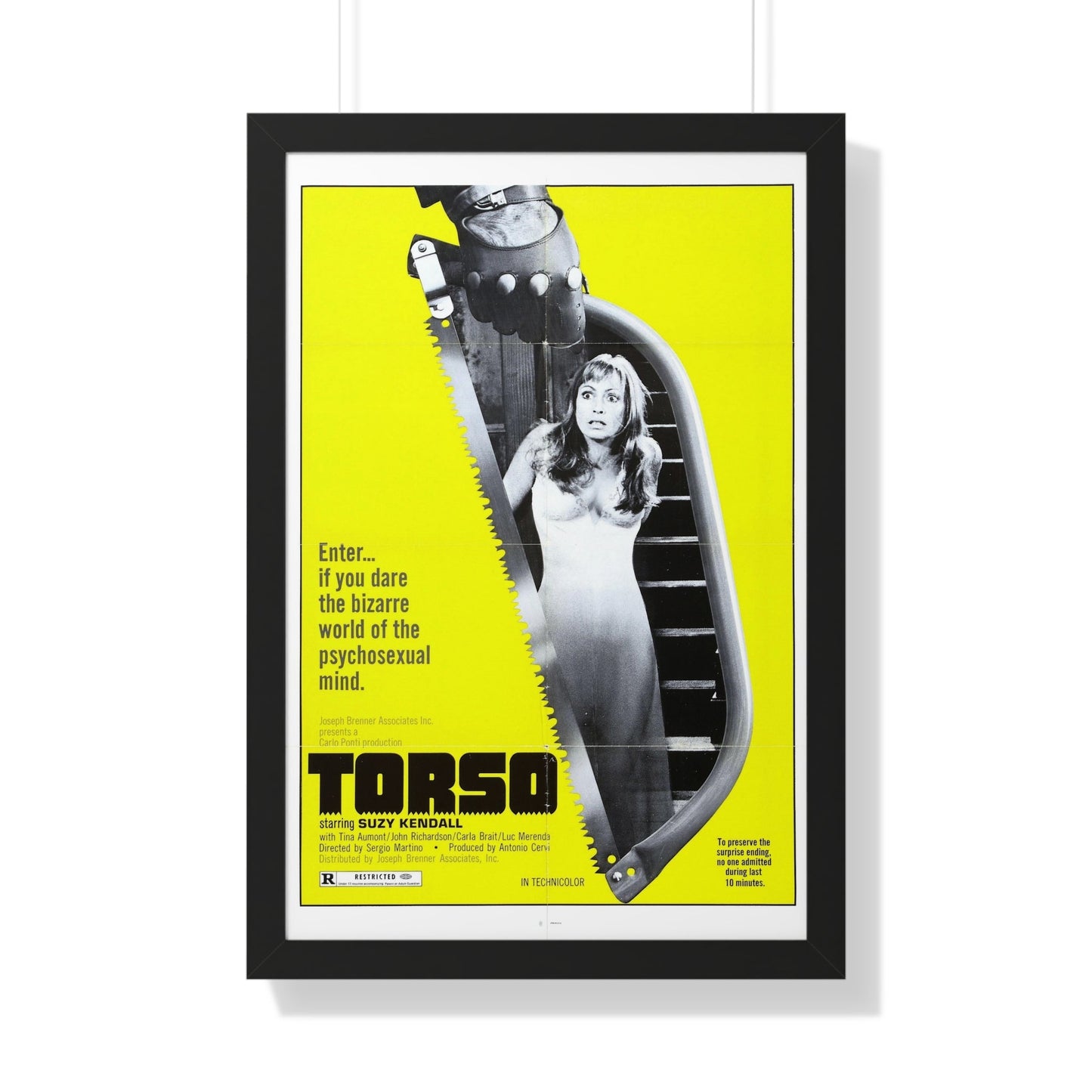 TORSO 1973 - Framed Movie Poster-20" x 30"-The Sticker Space