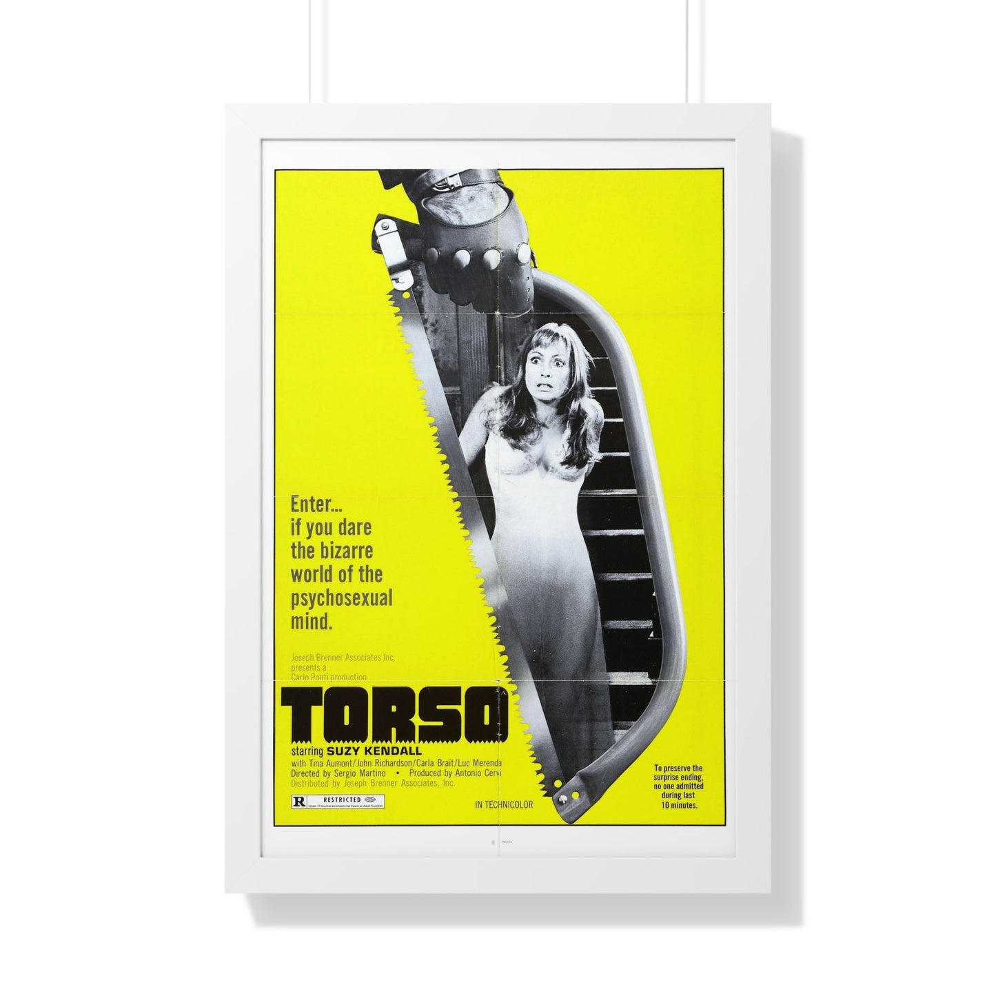 TORSO 1973 - Framed Movie Poster-20" x 30"-The Sticker Space