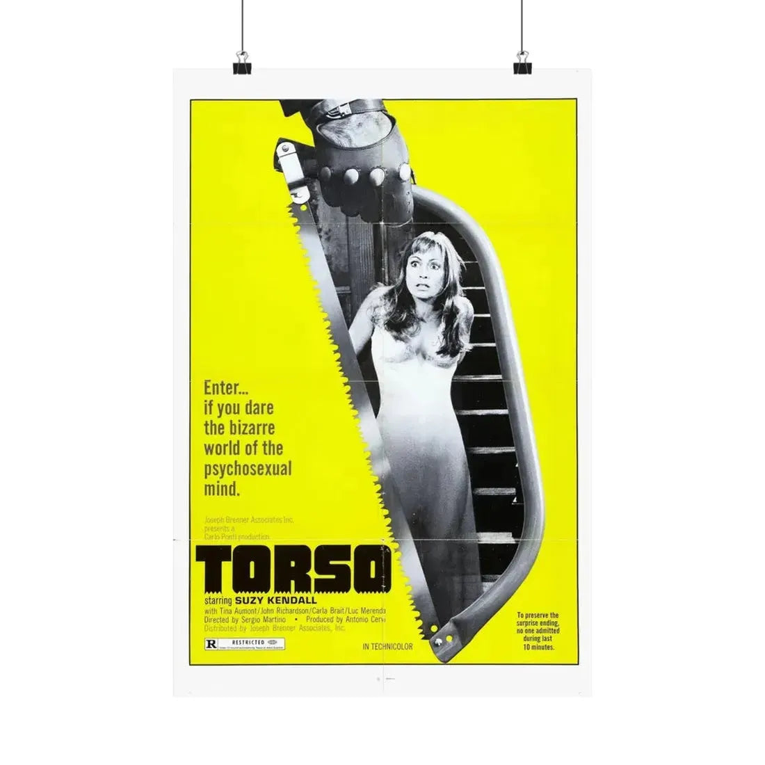TORSO 1973 - Paper Movie Poster 16″ x 24″ Matte - The Sticker Space