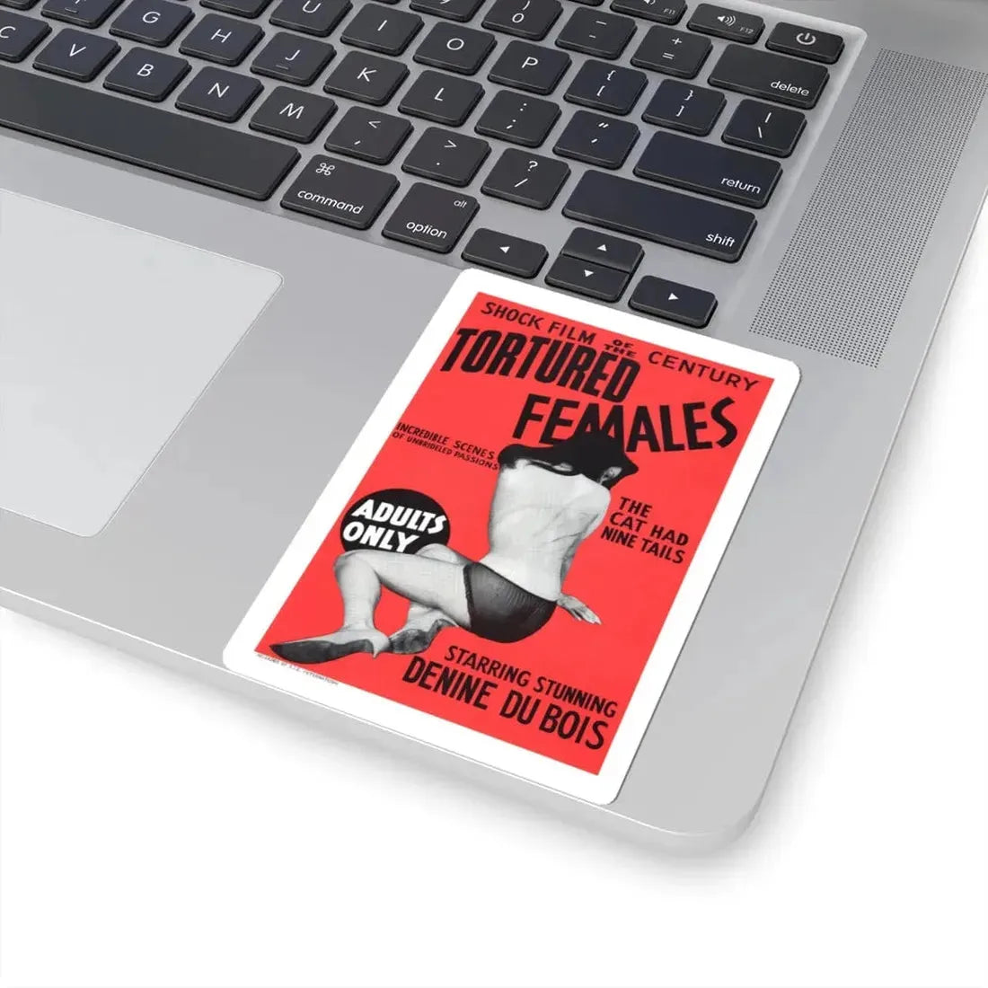 TORTURED FEMALES 1965 Movie Poster - STICKER Vinyl Kiss-Cut Decal - The Sticker Space