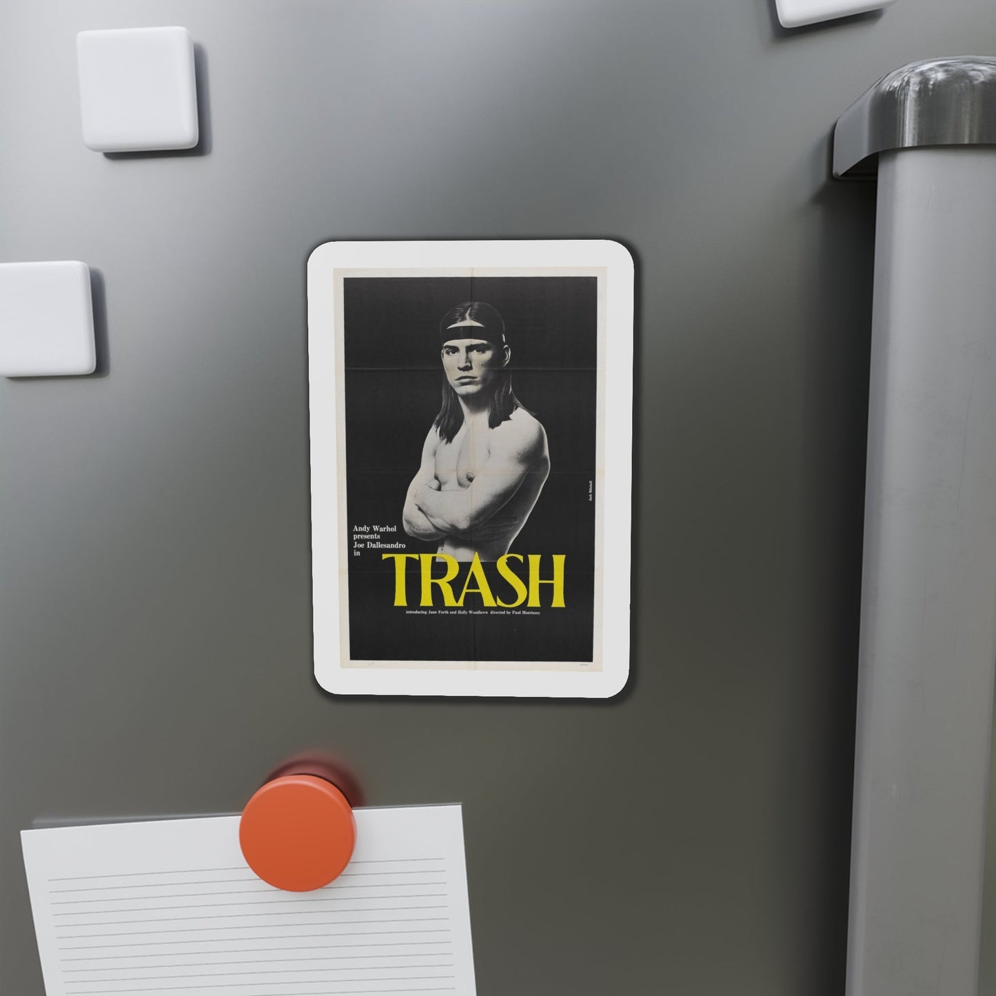 Trash 1970 Movie Poster Die-Cut Magnet-The Sticker Space