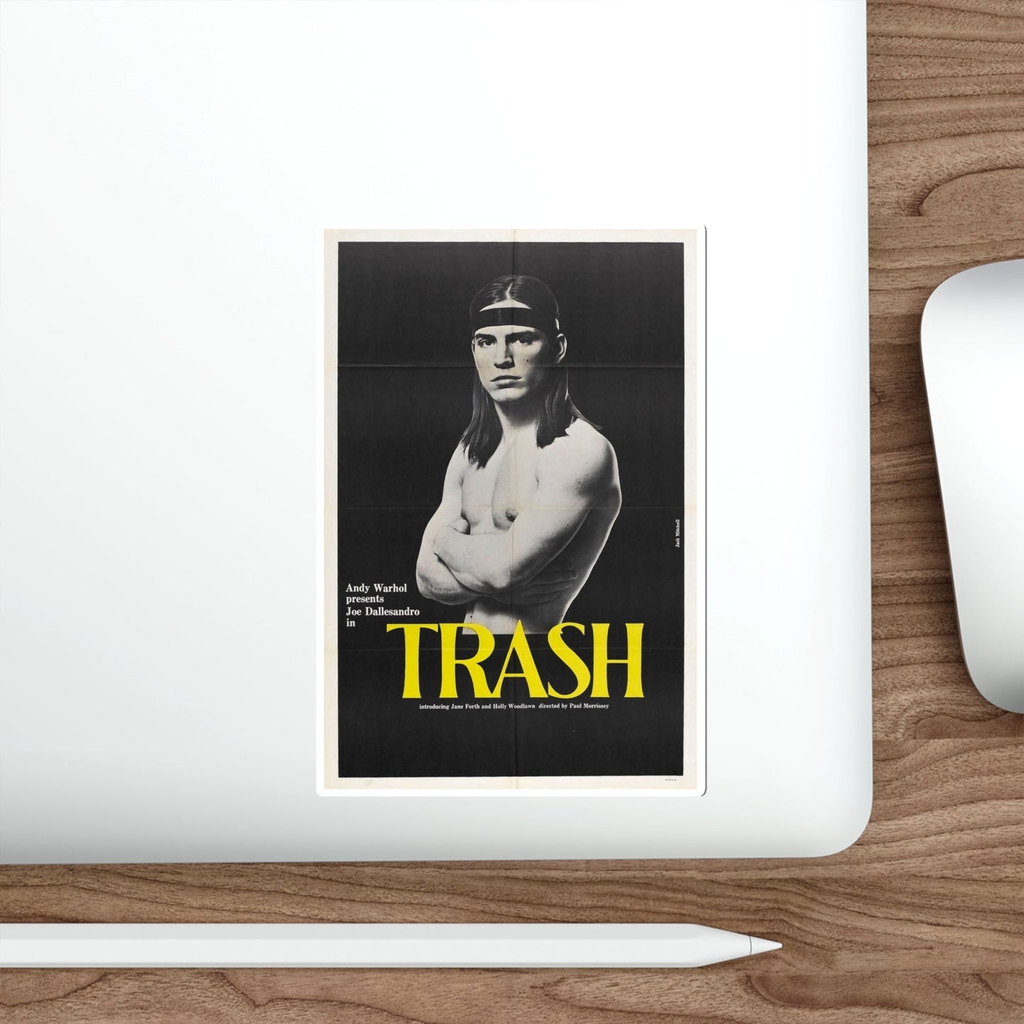 Trash 1970 Movie Poster STICKER Vinyl Die-Cut Decal-The Sticker Space