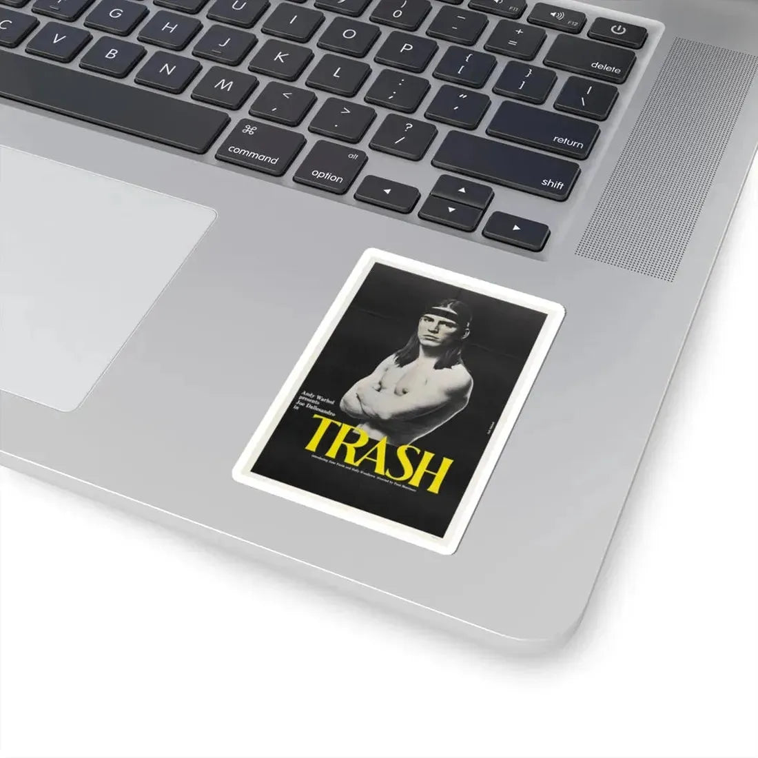 Trash 1970 Movie Poster - STICKER Vinyl Kiss-Cut Decal - The Sticker Space