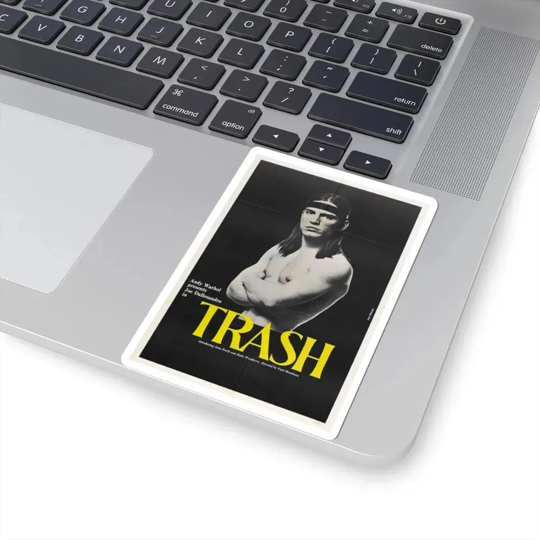 Trash 1970 Movie Poster - STICKER Vinyl Kiss-Cut Decal - The Sticker Space
