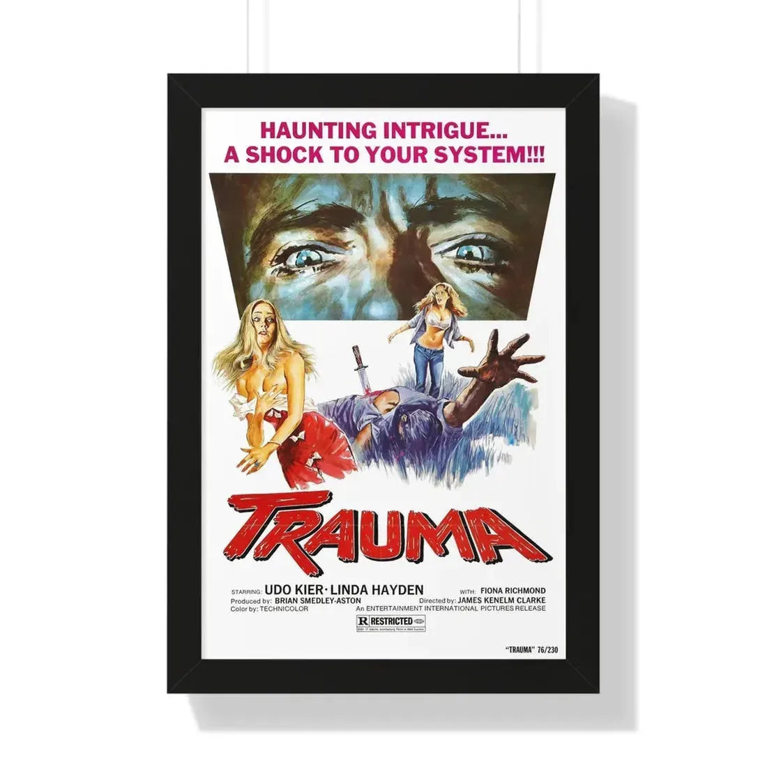 TRAUMA (HOUSE ON STRAW HILL) 1976 - Framed Movie Poster 16″ x 24″ Black - The Sticker Space