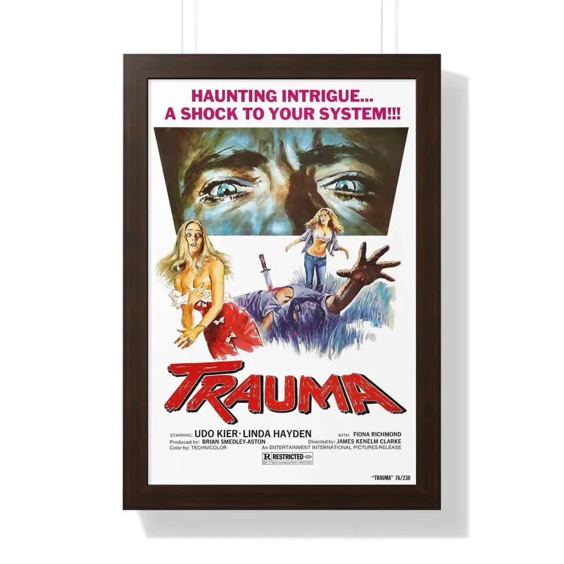 TRAUMA (HOUSE ON STRAW HILL) 1976 - Framed Movie Poster 16″ x 24″ Walnut - The Sticker Space