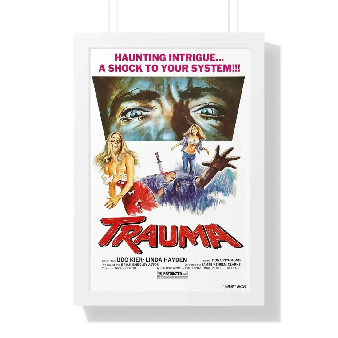 TRAUMA (HOUSE ON STRAW HILL) 1976 - Framed Movie Poster 16″ x 24″ White - The Sticker Space