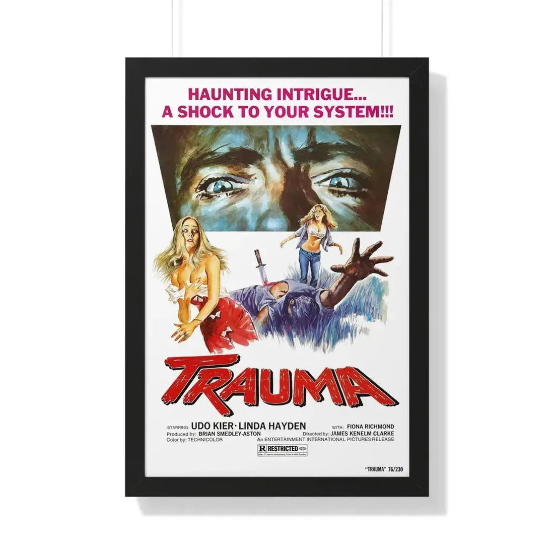 TRAUMA (HOUSE ON STRAW HILL) 1976 - Framed Movie Poster 20" x 30" Black - The Sticker Space