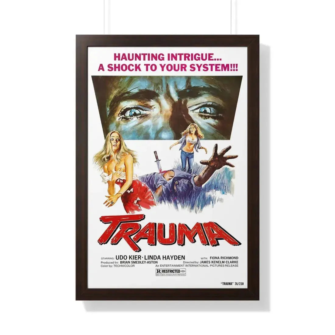 TRAUMA (HOUSE ON STRAW HILL) 1976 - Framed Movie Poster 20" x 30" Walnut - The Sticker Space