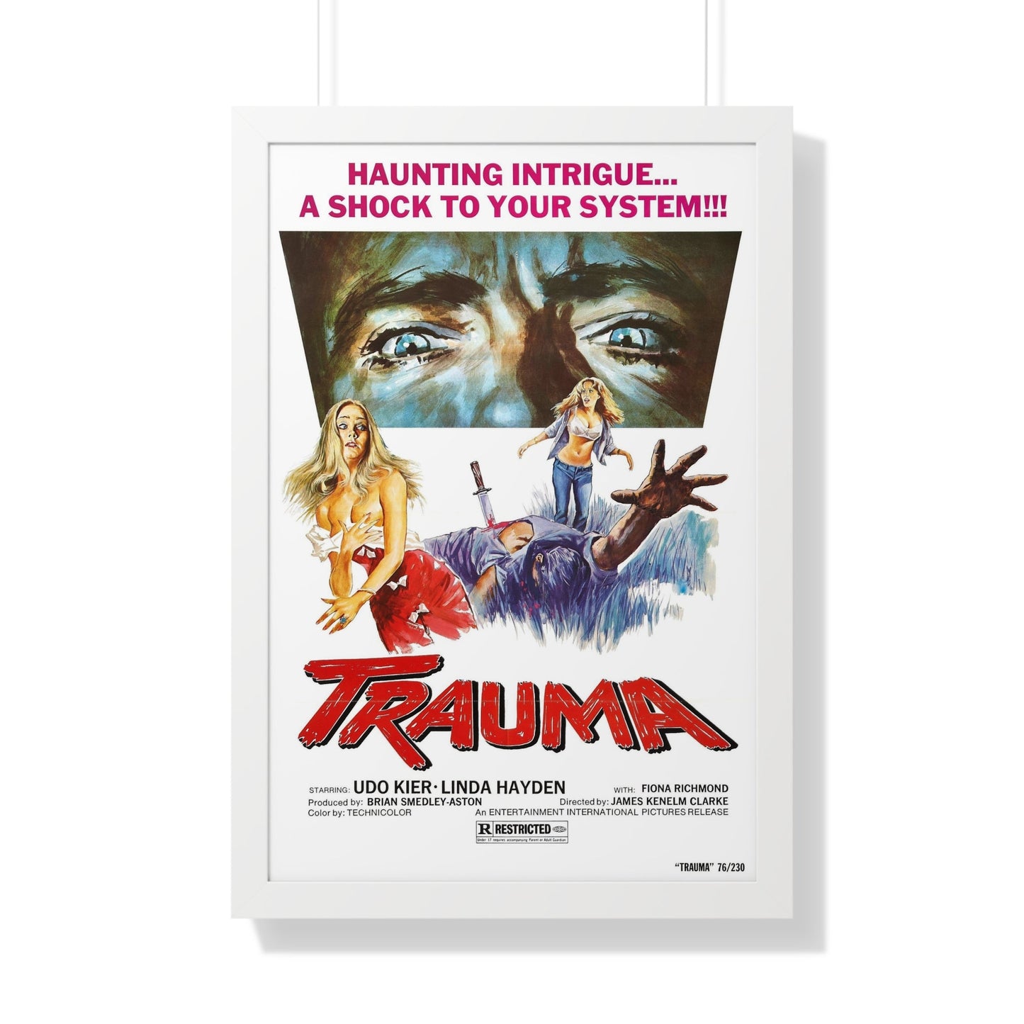 TRAUMA (HOUSE ON STRAW HILL) 1976 - Framed Movie Poster-20" x 30"-The Sticker Space