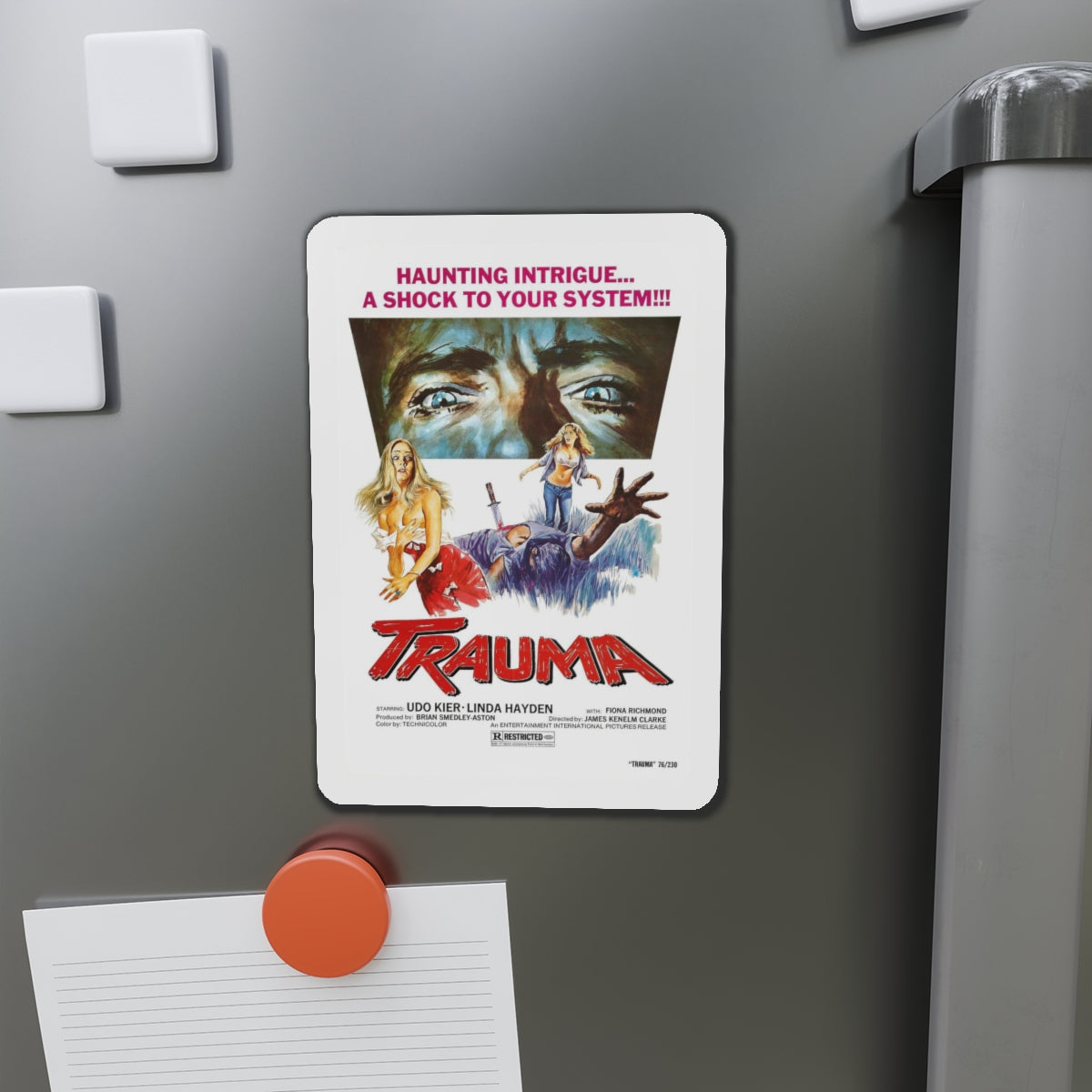 TRAUMA (HOUSE ON STRAW HILL) 1976 Movie Poster - Refrigerator Magnet