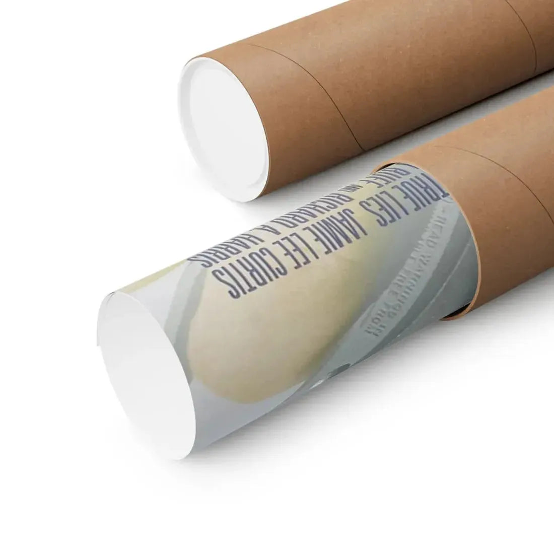 TRUE LIES 1994 - Paper Movie Poster - The Sticker Space