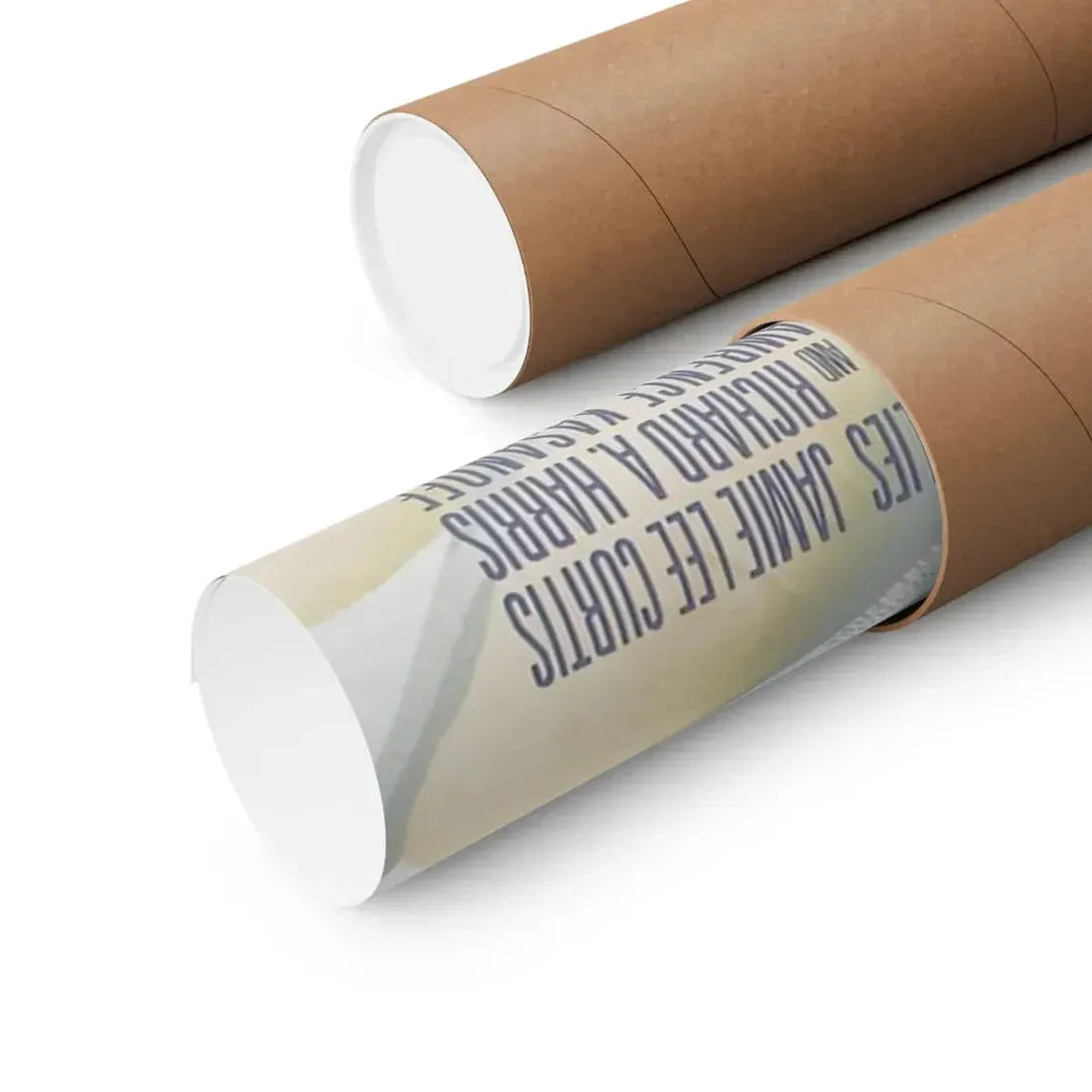 TRUE LIES 1994 - Paper Movie Poster - The Sticker Space