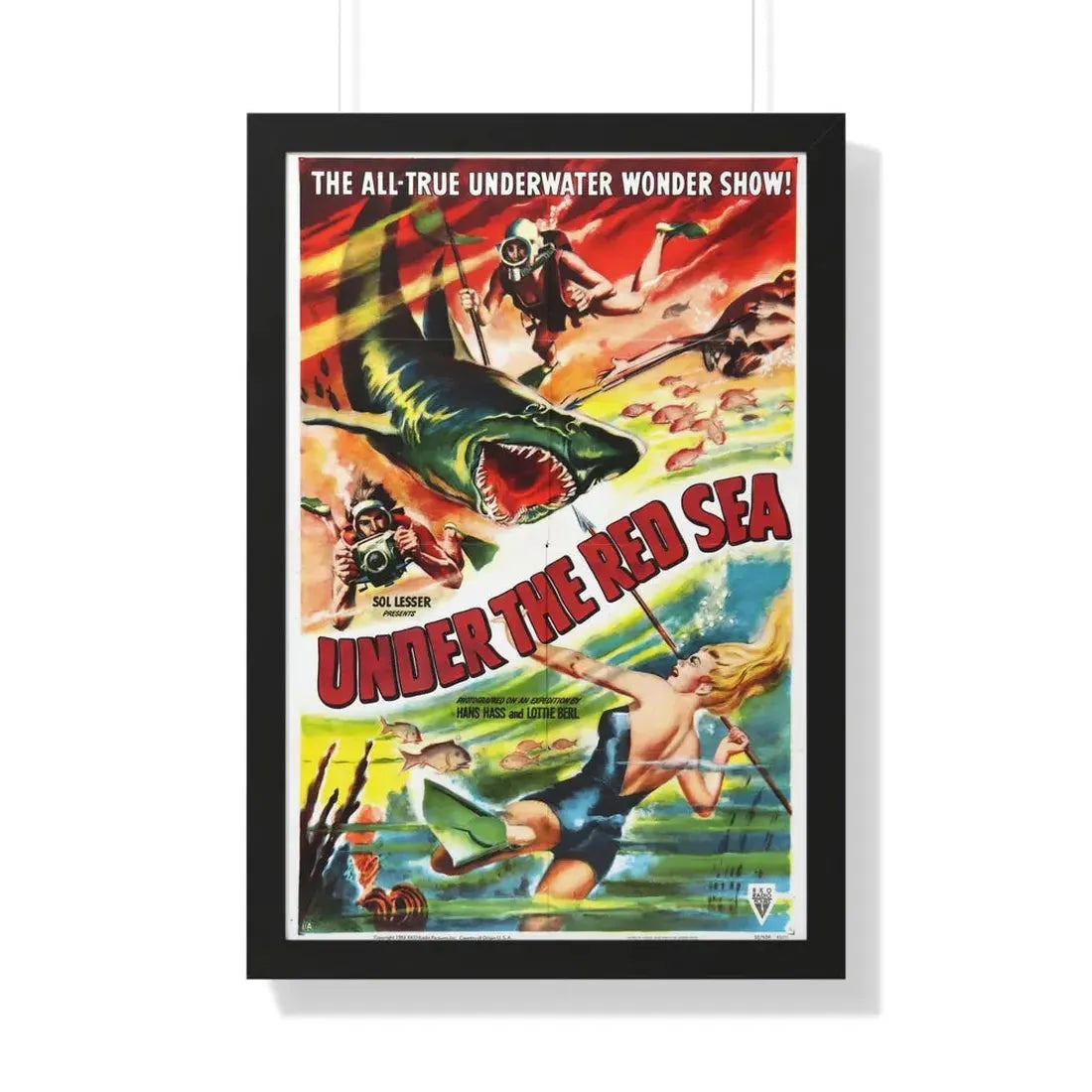 UNDER THE RED SEA 1952 - Framed Movie Poster 20" x 30" Black - The Sticker Space