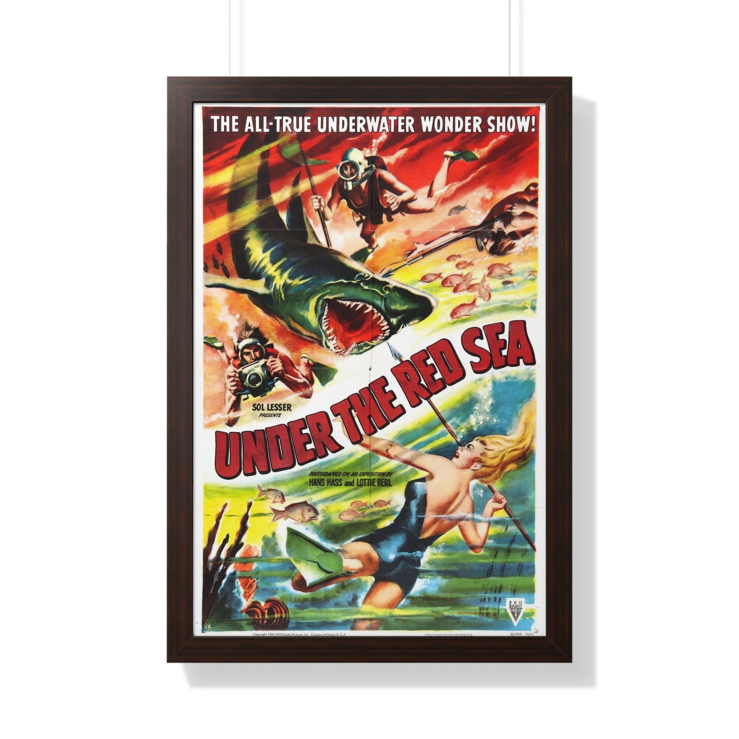 UNDER THE RED SEA 1952 - Framed Movie Poster-20" x 30"-The Sticker Space