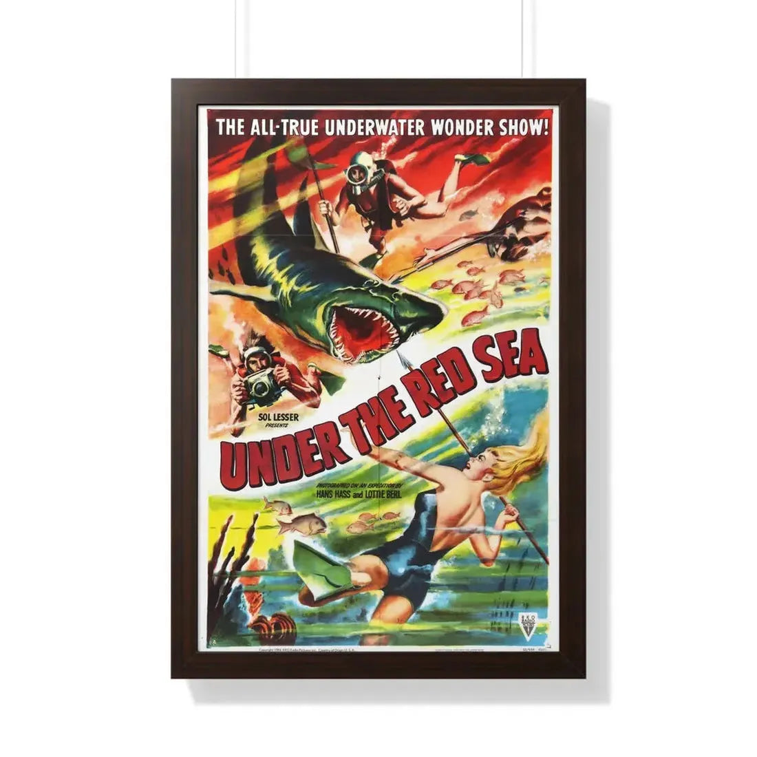 UNDER THE RED SEA 1952 - Framed Movie Poster 20" x 30" Walnut - The Sticker Space