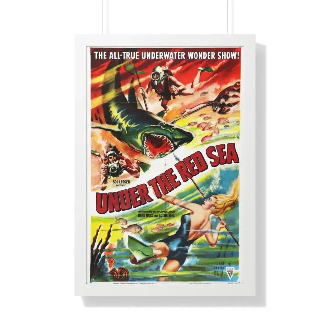 UNDER THE RED SEA 1952 - Framed Movie Poster 20" x 30" White - The Sticker Space