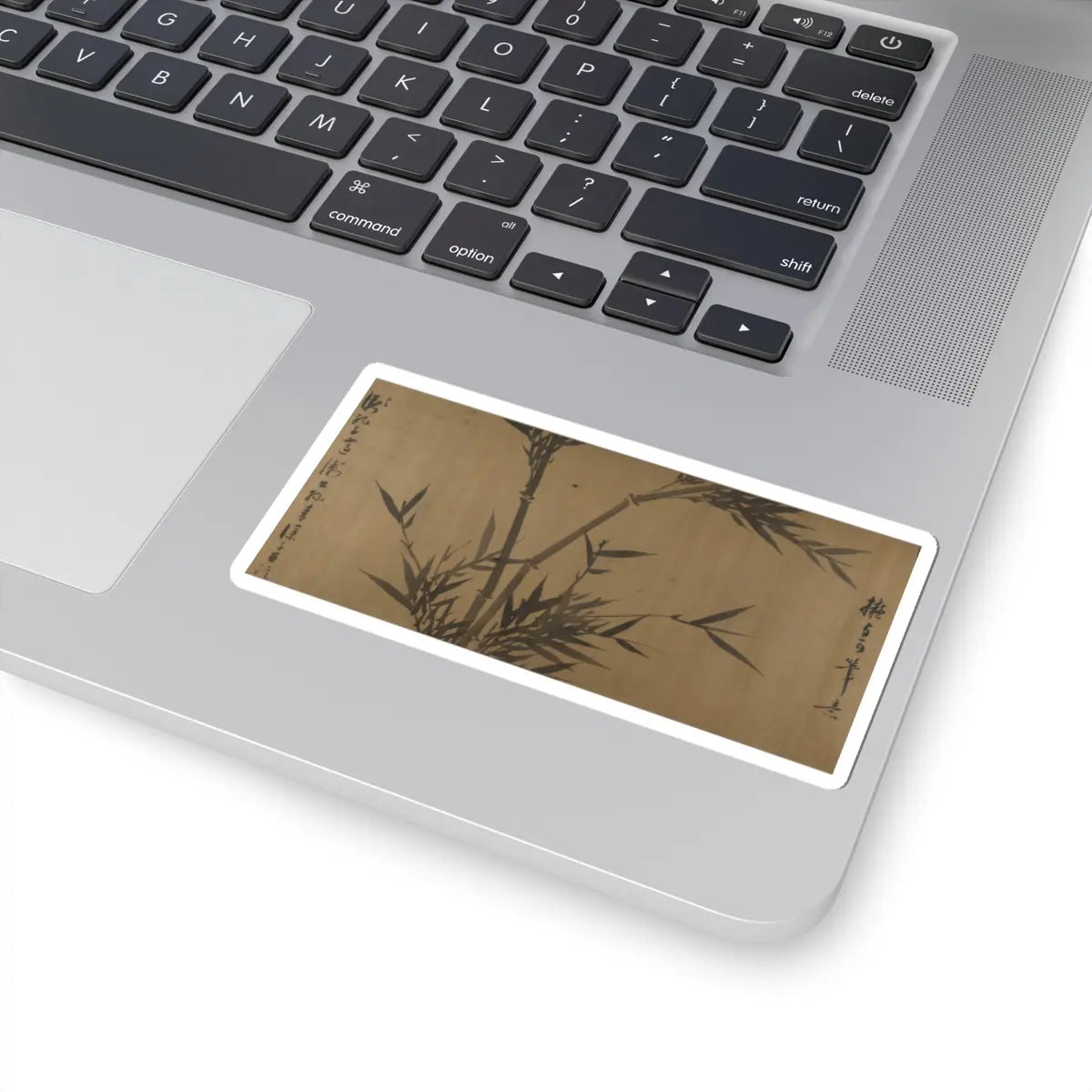 Unidentified artist - Bamboo Studies - unknown v12 - STICKER Vinyl Kiss-Cut Decal