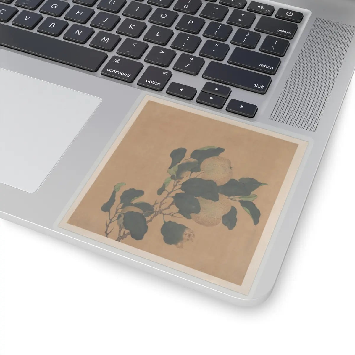 Unidentified artist - Branch of Tree with Fruit - unknown - STICKER Vinyl Kiss-Cut Decal