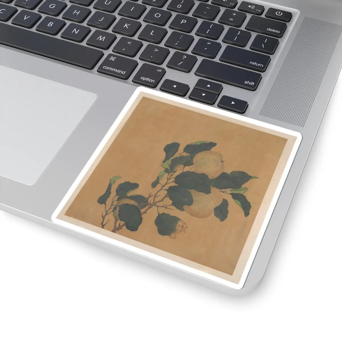 Unidentified artist - Branch of Tree with Fruit - unknown - STICKER Vinyl Kiss-Cut Decal