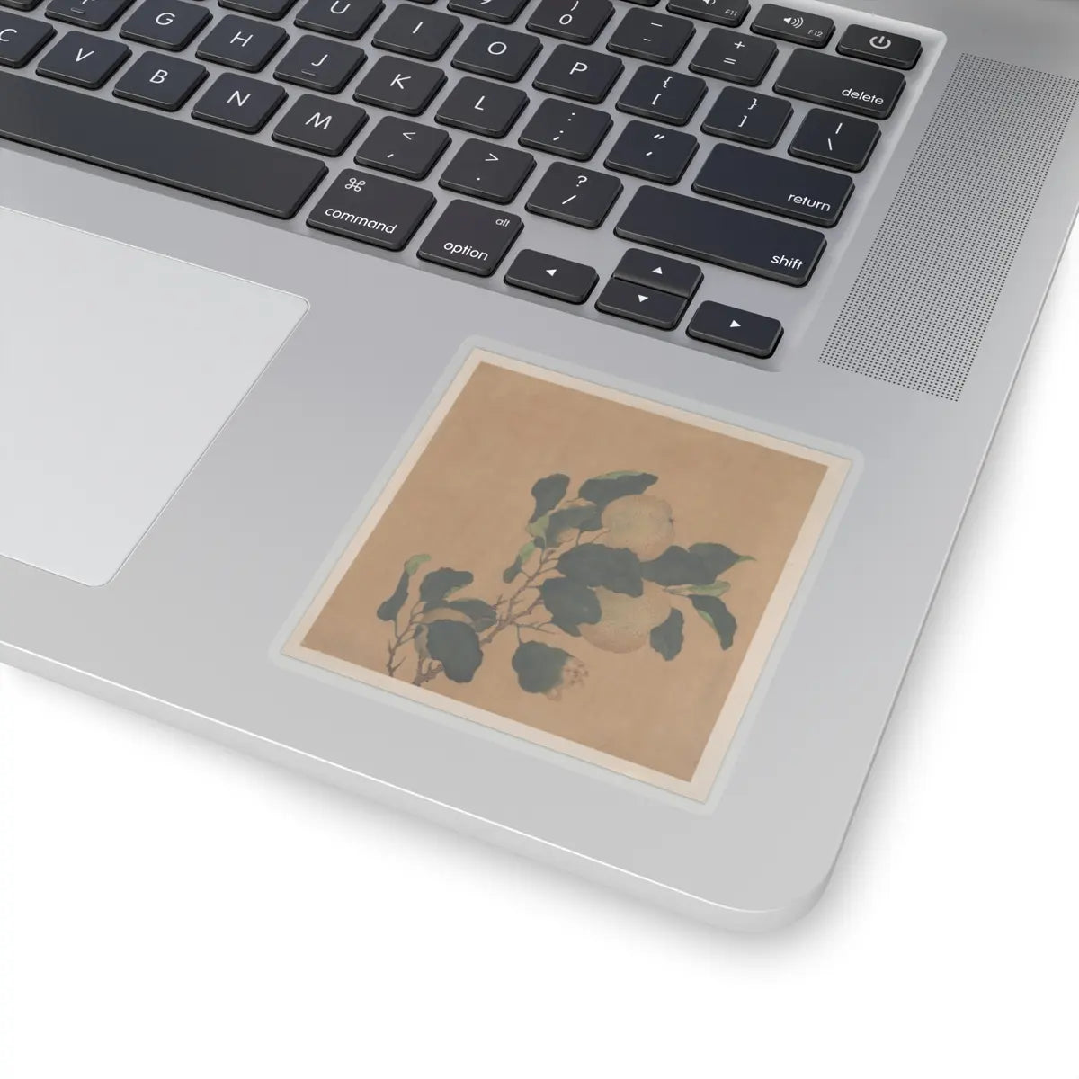 Unidentified artist - Branch of Tree with Fruit - unknown - STICKER Vinyl Kiss-Cut Decal