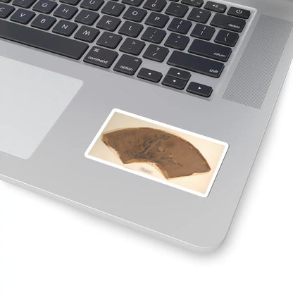 Unidentified artist - Fan - unknown - STICKER Vinyl Kiss-Cut Decal