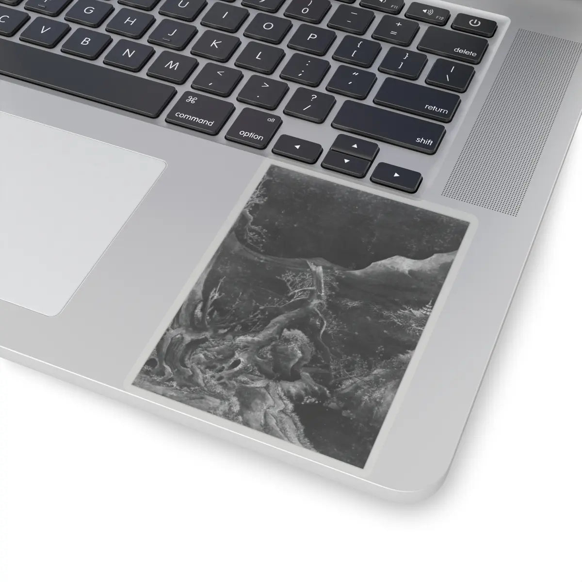 Unidentified artist - Landscape in the Tang Manner - unknown - STICKER Vinyl Kiss-Cut Decal