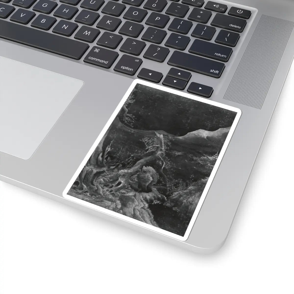 Unidentified artist - Landscape in the Tang Manner - unknown - STICKER Vinyl Kiss-Cut Decal