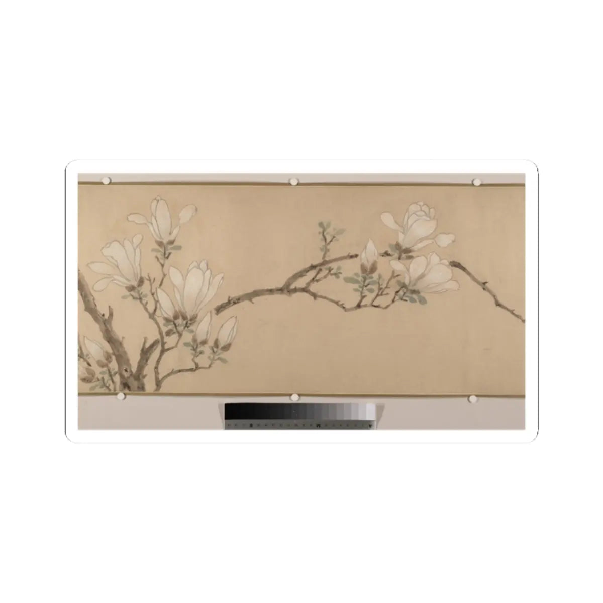 Unidentified artist - Magnolia - Spurious date of 1549 v8 - STICKER Vinyl Kiss-Cut Decal