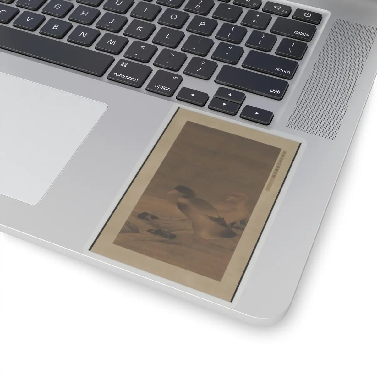 Unidentified artist - Pair of Mallard Ducks on Sandy Beach - unknown v1 - STICKER Vinyl Kiss-Cut Decal