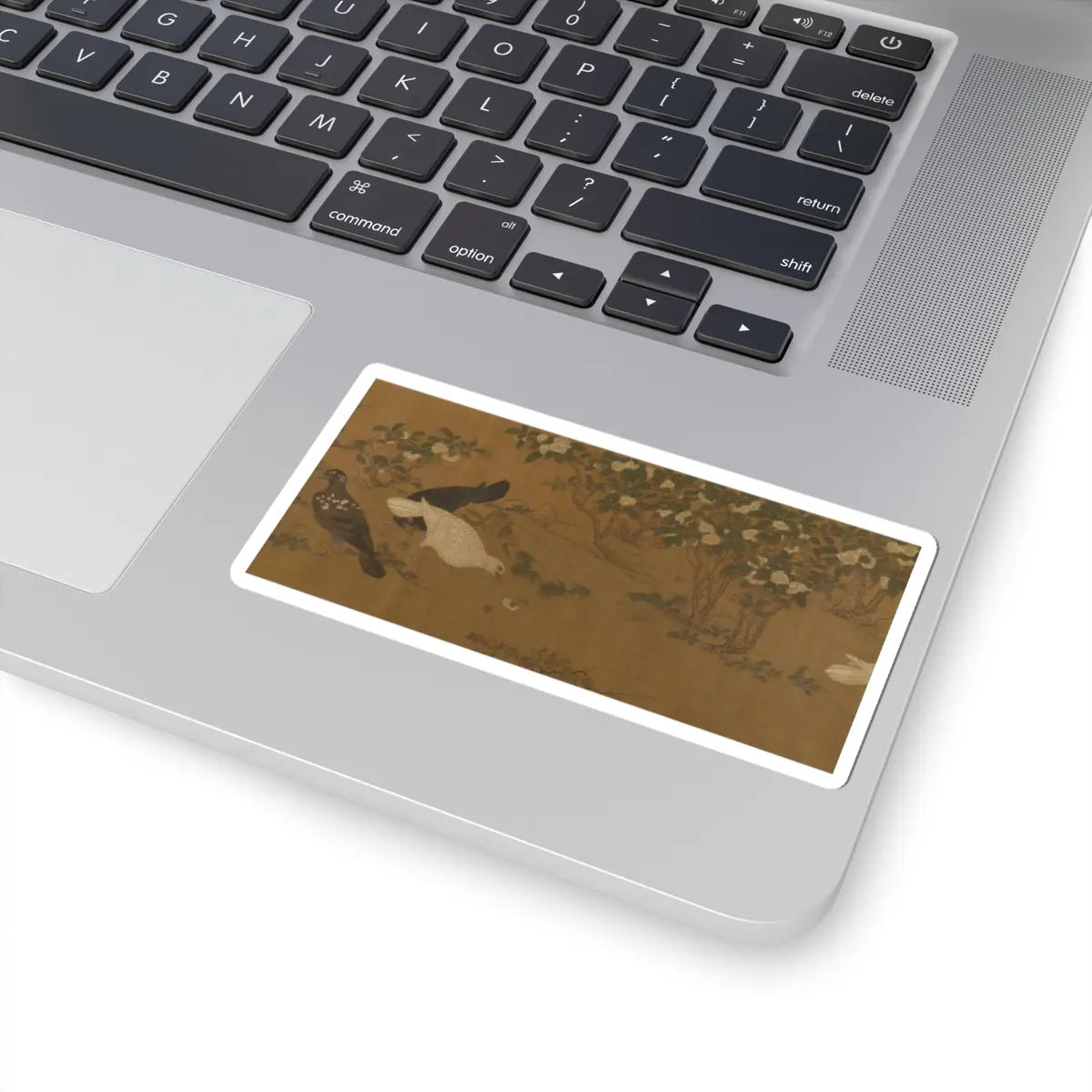 Unidentified artist - Quail - unknown v3 - STICKER Vinyl Kiss-Cut Decal