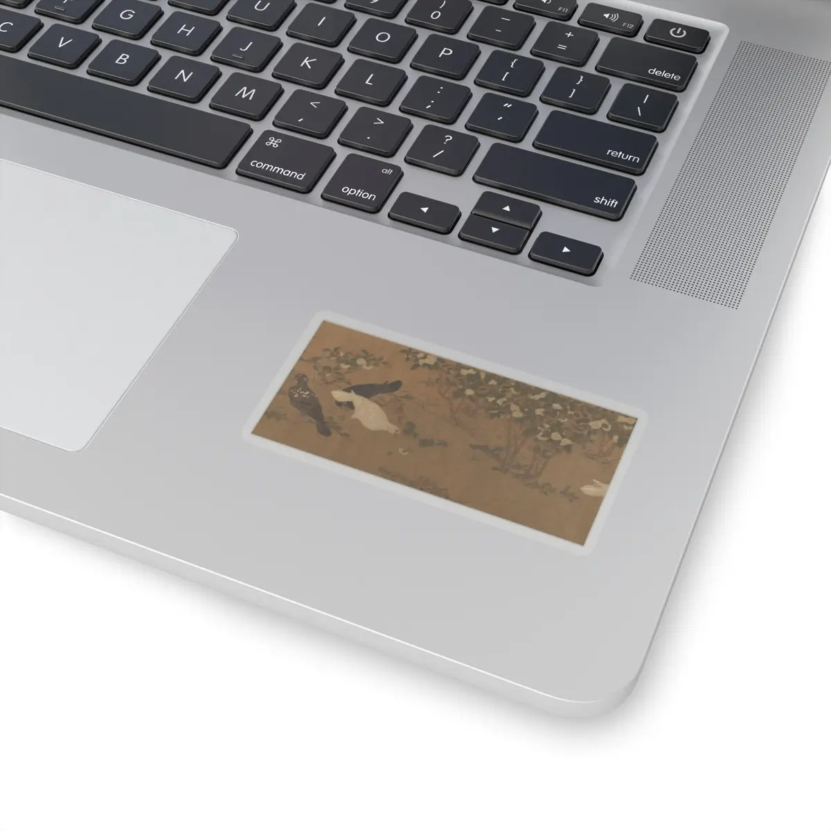 Unidentified artist - Quail - unknown v3 - STICKER Vinyl Kiss-Cut Decal