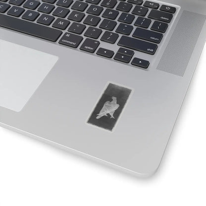 Unidentified artist - White Falcon - unknown - STICKER Vinyl Kiss-Cut Decal